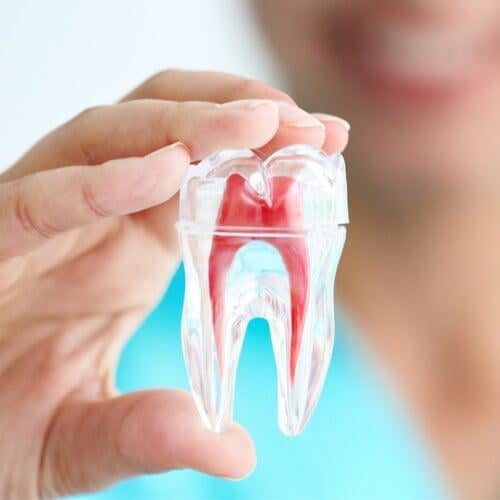Emirates Dental Care Manjeri